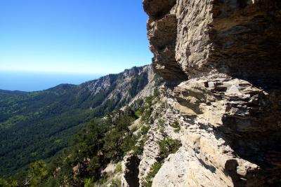 Прикрепленное изображение: A58DSC08415.jpg